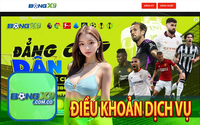 Điều khoản dịch vụ